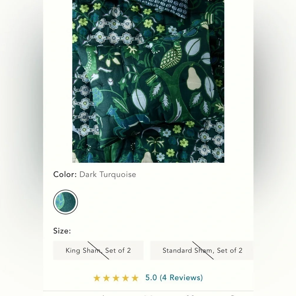 Anthropologie Nora Organic Cotton Printed King Shams NWT